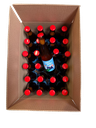 Piggly Wiggly - 24x33cl